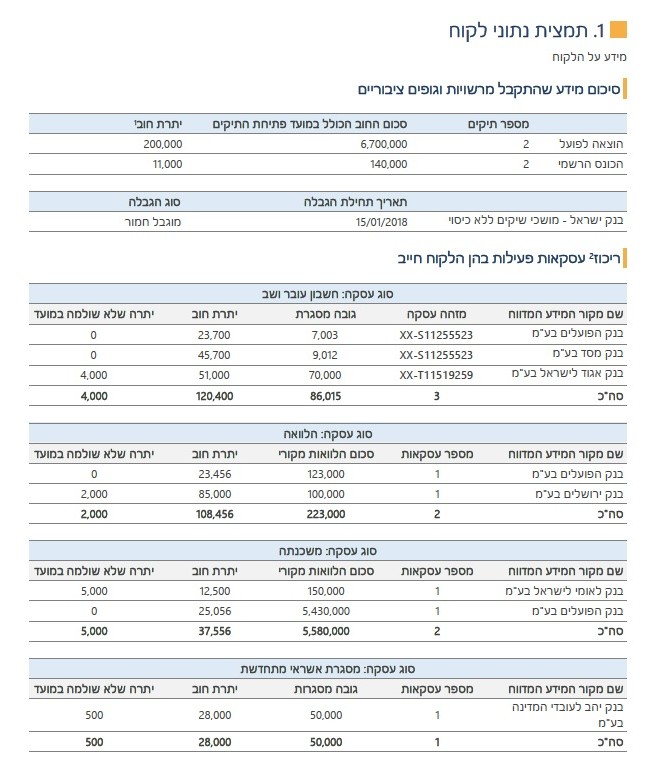 דוגמה לדוח ריכוז נתוני אשראי